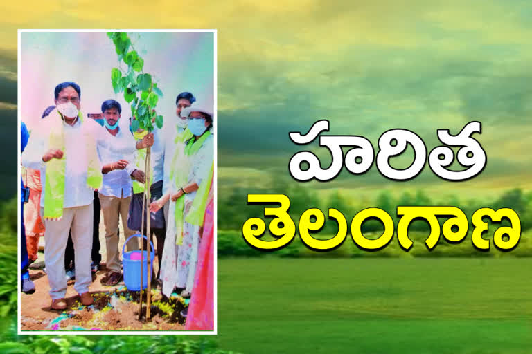 minister-errabelli-participated-in-haritha-haram-event-at-jangaon-district