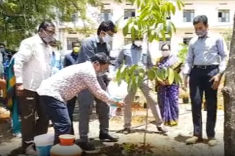 sangareddy collector hanumantharao started 6th phase haritha haaram program