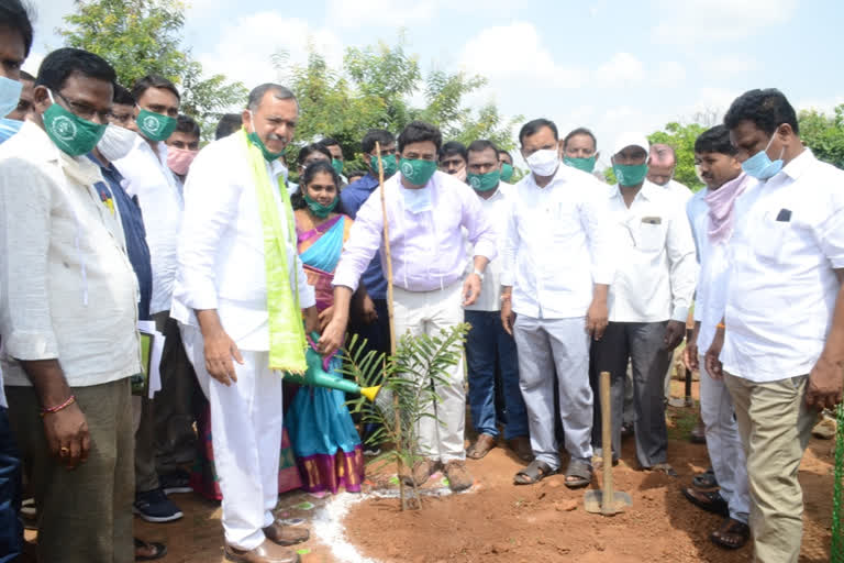 jayashankar bhupalapalli collector mahommed abdul azim talk about harithaharam