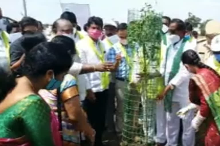 minister gangula kamalakar started in haritha haaram program