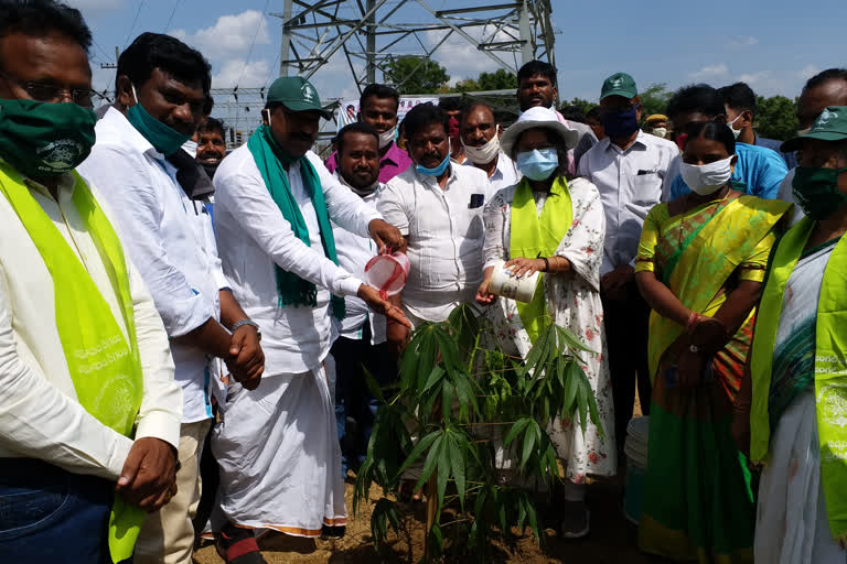 janagoan collector nikhila talk about harithaharam in station ghanpur