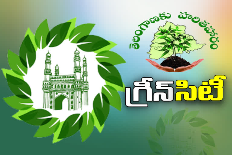 HARITHA HARAM PROGRAM IN GREATER HYDERABAD