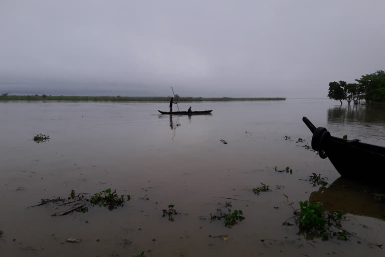 Assam floods: Water level of four rivers continue to rise, crosses danger level