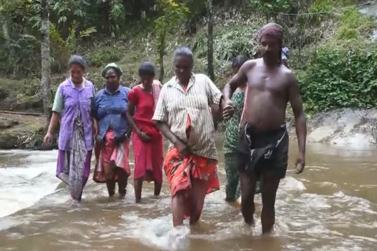 കൊച്ചുകുടകല്ല്  natives  kochukudakkall  അടിമാലി ഗ്രാമപഞ്ചായത്ത്  പ്ലാമല  യാത്രാ ദുരിതം