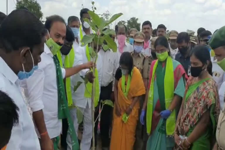 minister-sabitha-indrareddy-launched-haritaharam-in-pargi-at-vikatabad-district