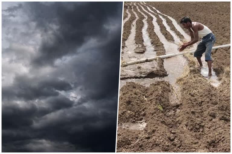 Sowing stopped due to lack of rain