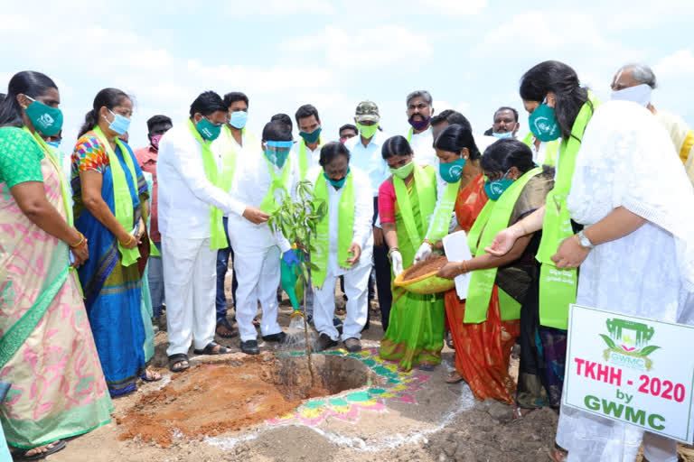 haritha haaram program in warangal town