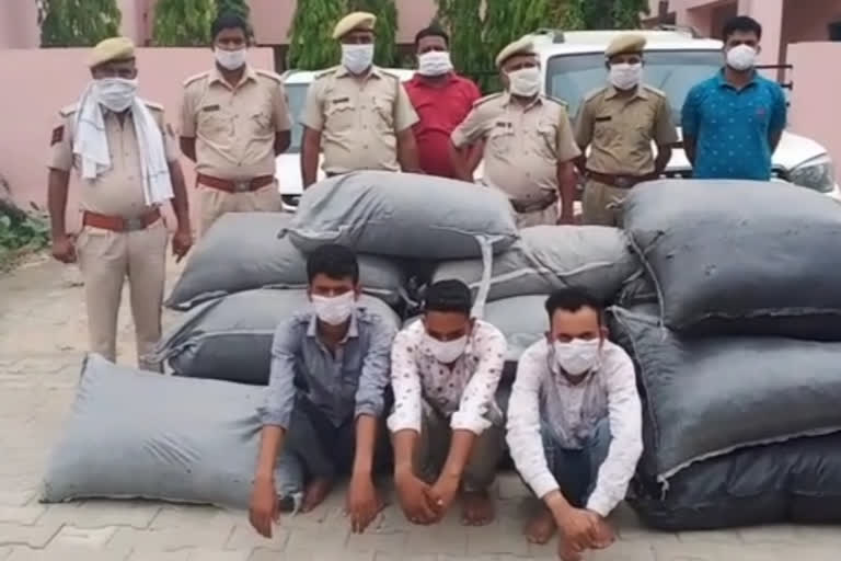 अवैध डोडा चूरा बरामद, Illegal doda sawdust recovered