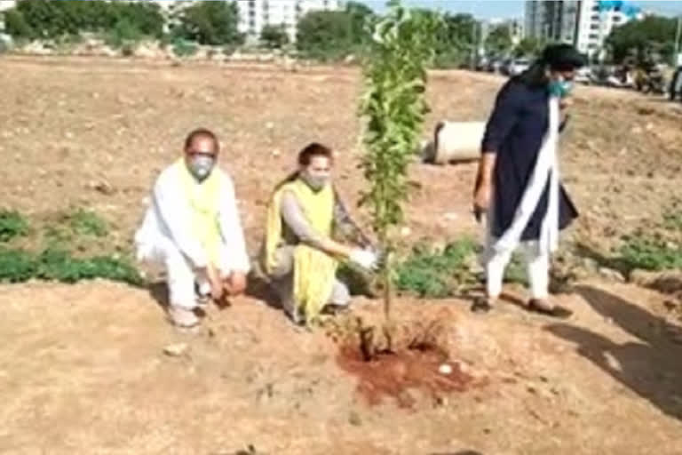 sherilingampally mla gandhi participated in harithaharam programme