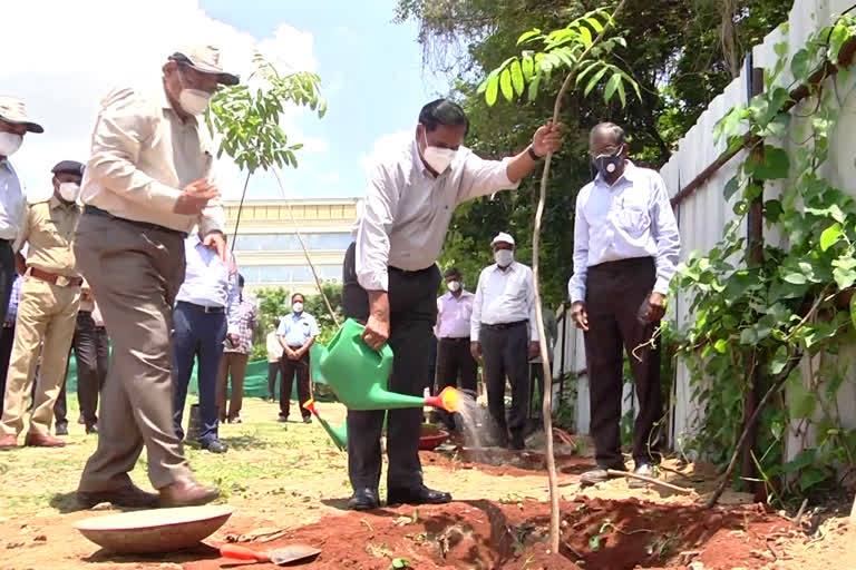 Plantation of Trees widely in HMRL Areas said by metro MD NVS Reddy