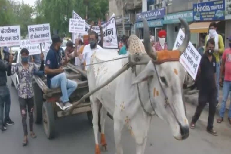 Protest against rising petrol prices by pulling an Audi car with a bulk