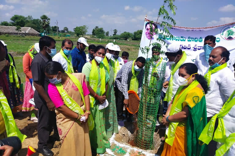 జిల్లాను ఆదర్శంగా మారుస్తాం: సిద్దిపేట కలెక్టర్​