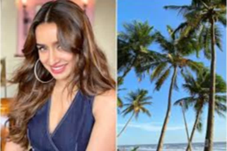 shraddha kapoor shares a surreal picture of the beach and the sky