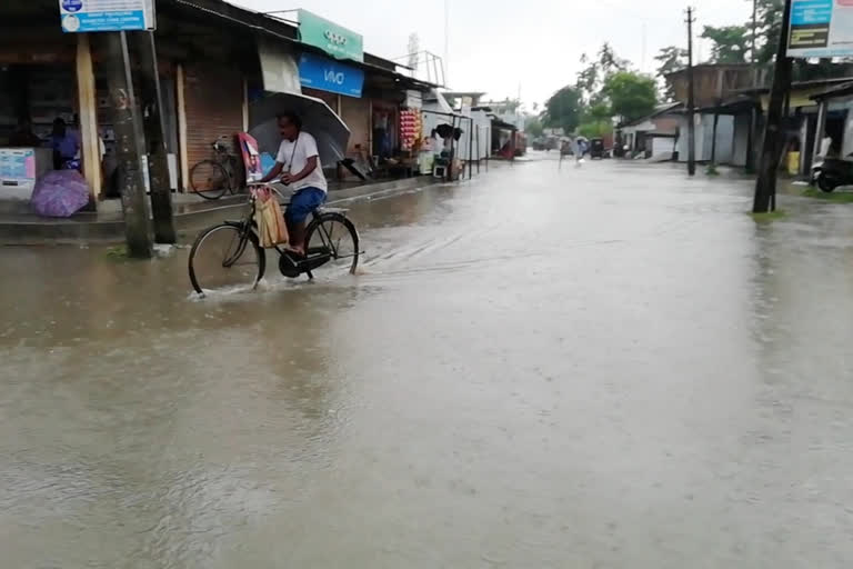 Artificial Flood in Kalgachia