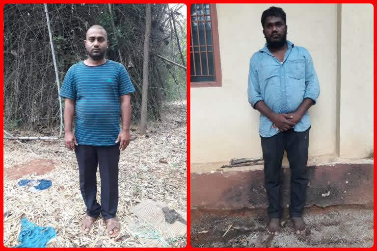 most wanted redsandal smugglers arrested in tirupathi