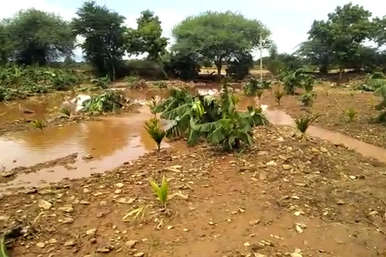 ಧರೆಗುರುಳಿದ ಮನೆ, ಬಾಳೆ, ಅಡಿಕೆ ಮರಗಳು