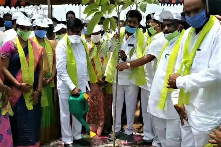 jagadesh reddy plantation