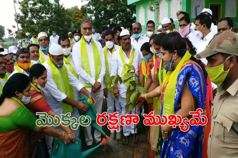 finance minister harish rao tour in sangareddy district