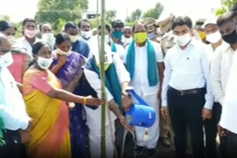 minister koppula eeshwar participated in harithahaaram in dharmapuri