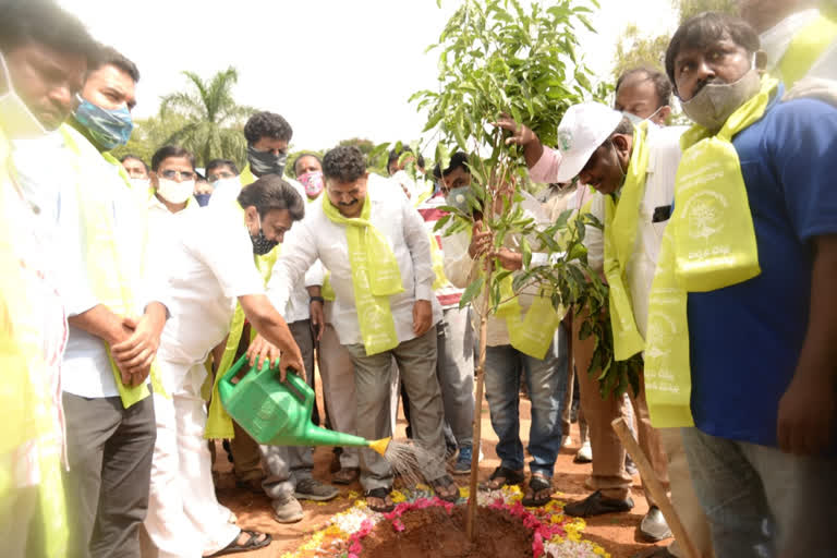 minister talasani srinivas yadav trees plantation in hyderabad