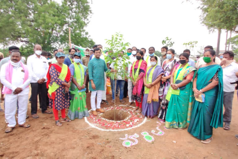 thungathurthy mla gadari kishore participated in harithaharam programme in suryapet district