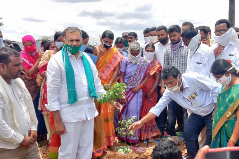 bhupalpally mla gandra venkataramana reddy participated in harithaharan programme