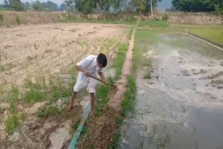 farmers facing problems due to lack of labor and water