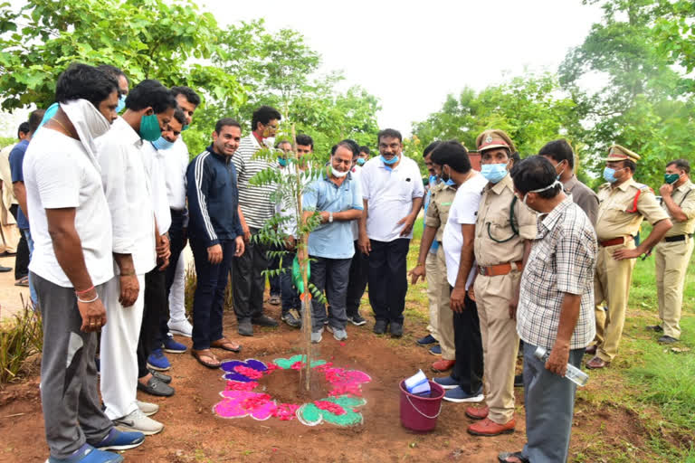 Minister Allola Indrakaran Reddy Plantation In Gandi Ramanna Park