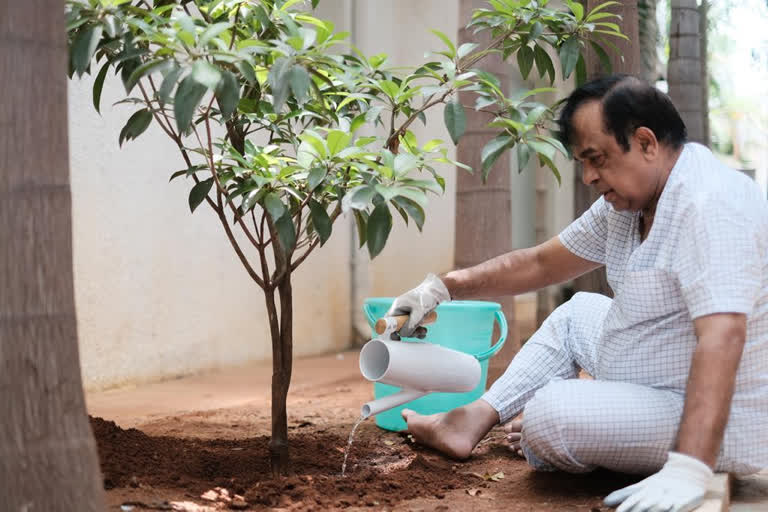 brahmanandam participated in green india challenge