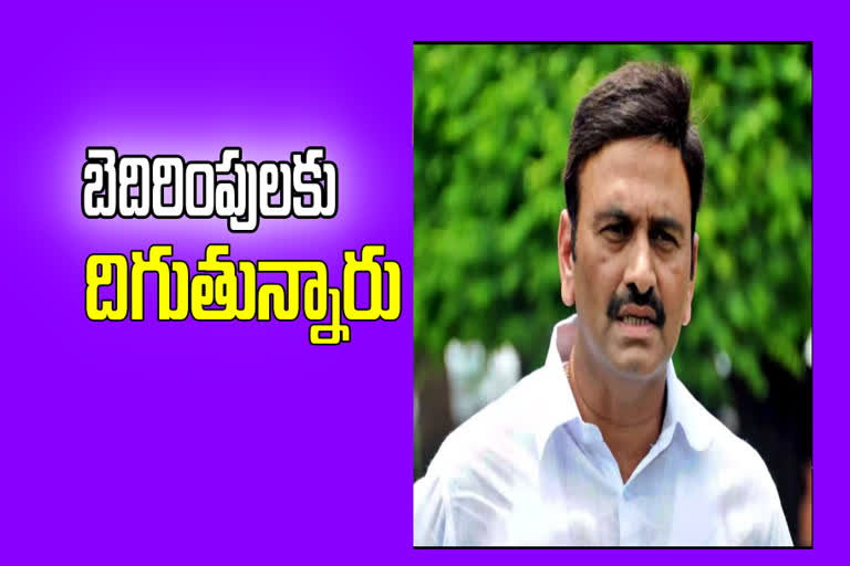 mp-raghu-rama-krishna-raju-comments-on-ycp-and-vijayasai-reddy