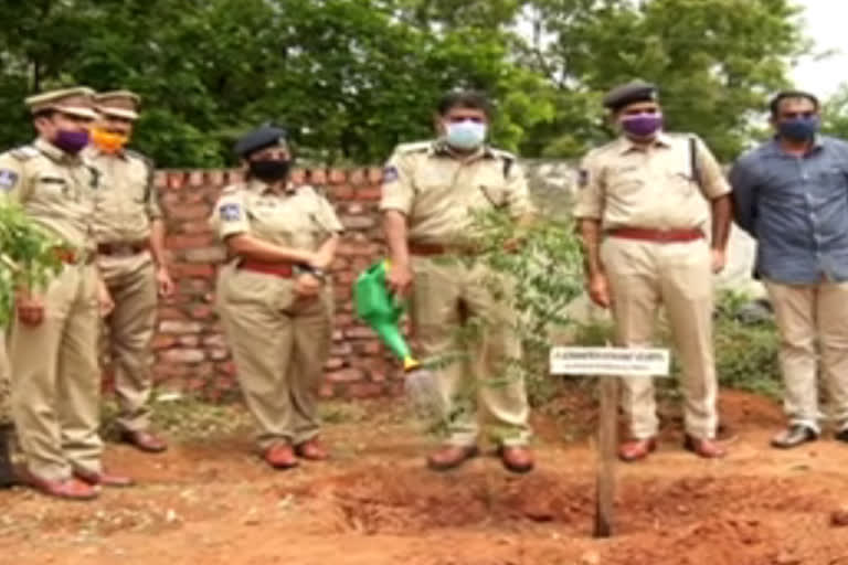 Sangareddy SP Chandrashekar reddy Participated in 6th term Harithaharam Programme