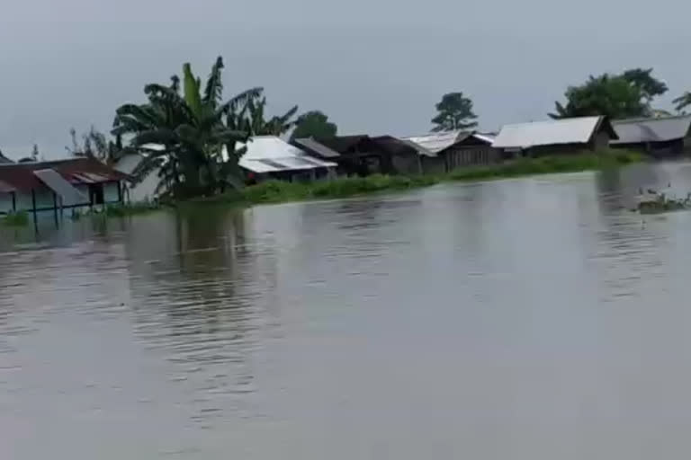 বান প্ৰলয়ঃ বিগত এমাহে জলবন্দী দধীয়া-লাইকাবাসী