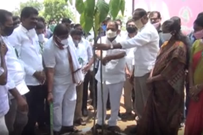 minister koppula eeshwar participated in haritha haaram in jagityal