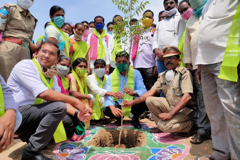 peddapally zp chairmen participated in harithahaaram program