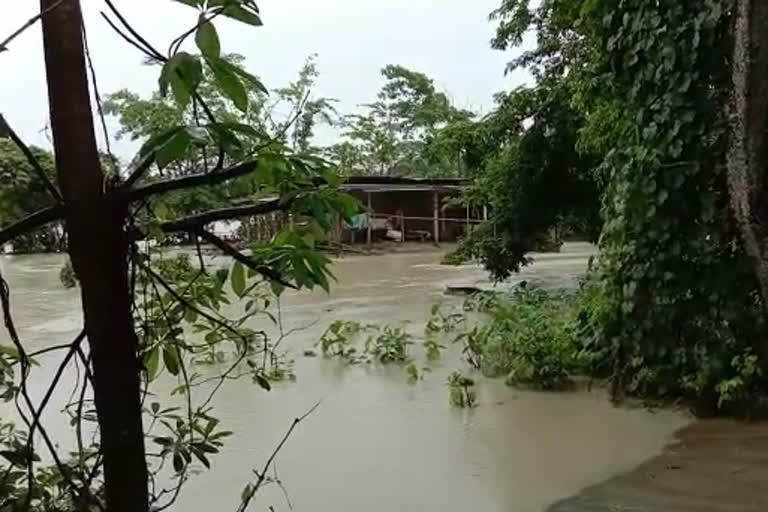 Assam floods