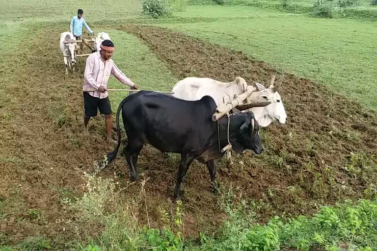 Plow farmer