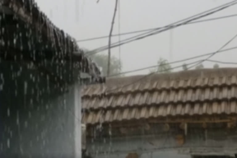 heavy rain at mididoddi in siddipet district