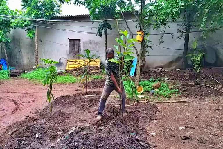 Planting of plants in a waste pile in mangalore