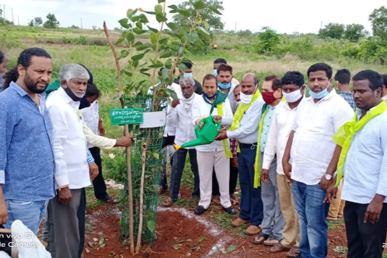 mla manikrao participated in harithahaaram program in jaheerabad