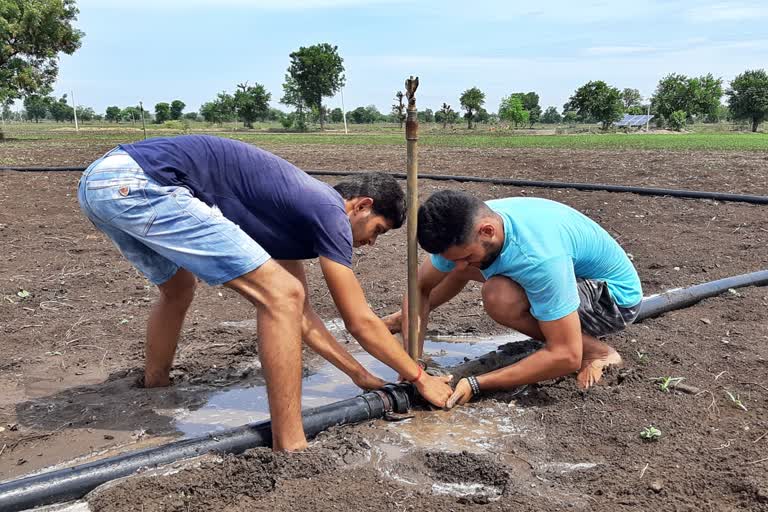 no-rain-after-sowing-in-amravati