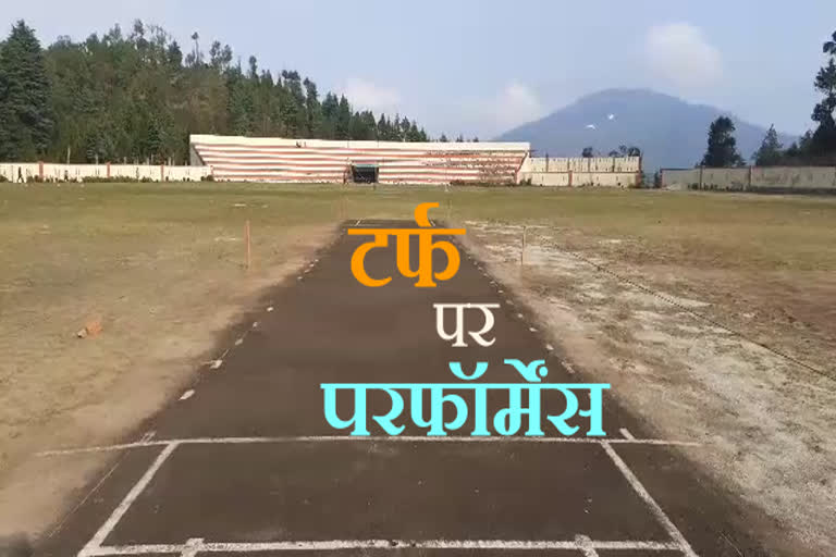 टर्फ विकेट