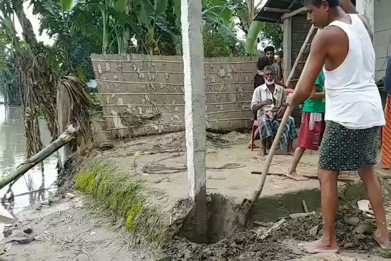 river bank erosion of dhubri