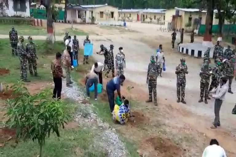 CRPF commandant distributed plants in khunti