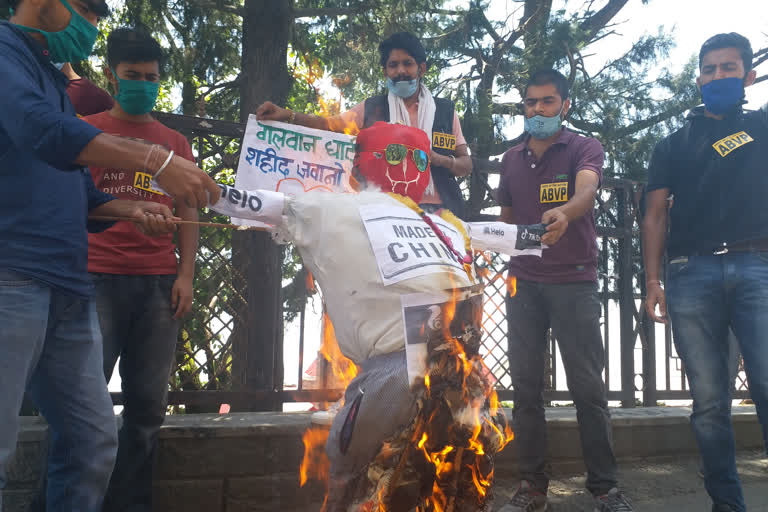 boycott china protest by ABVP shimla