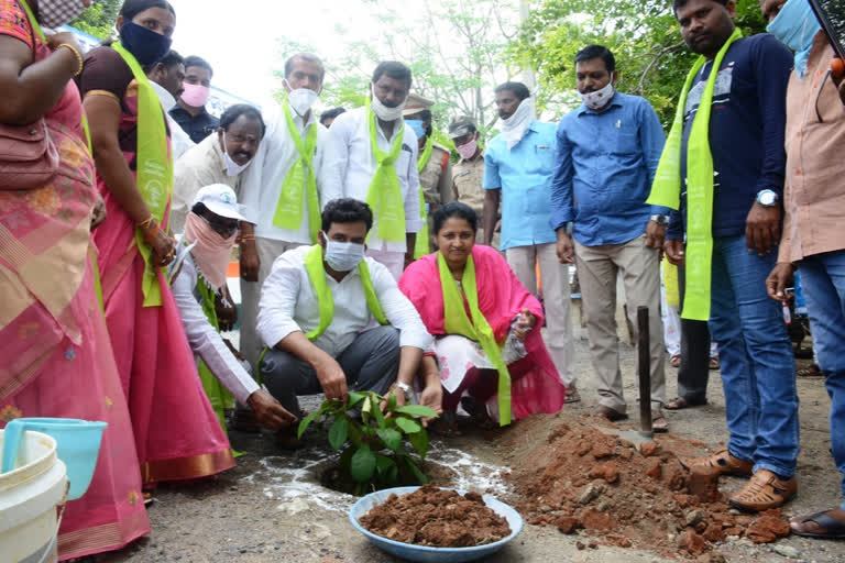 jayashanker bhupalapally collector mahammad abdhul azim participated in haritha haaram