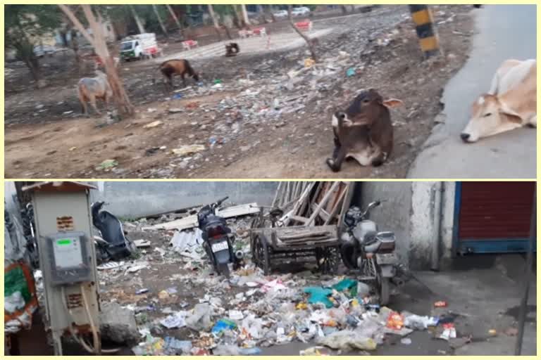 hari nagar ward people facing wastage problems