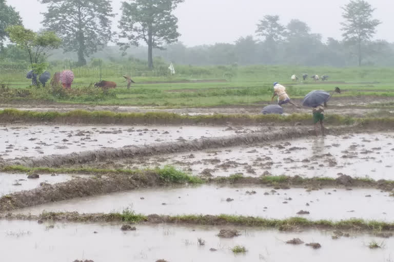 assam's villages depend on bhutan for water even years after independence