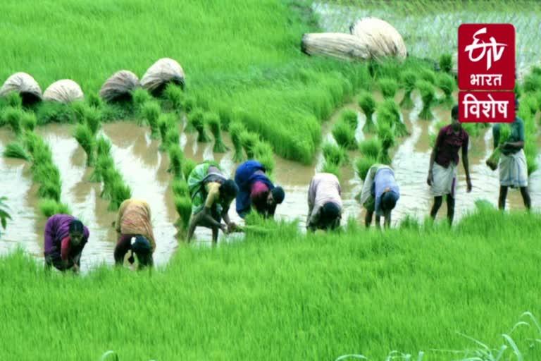 farmers affected  by disputes with Nepal