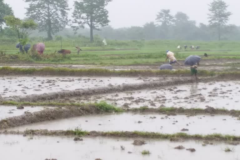 Years after Independence, these Assam villagers still depend on Bhutan for their water needs