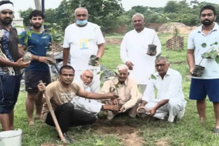 Social institution planted tree in Gannaur